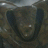 CmdrJeffSinclair